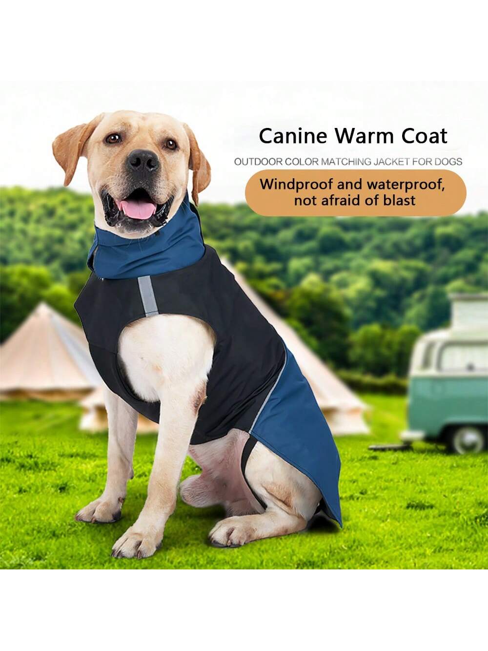 Windproof Waterproof Dog Warm  - огляд і ціна Outdoor Camping Vest